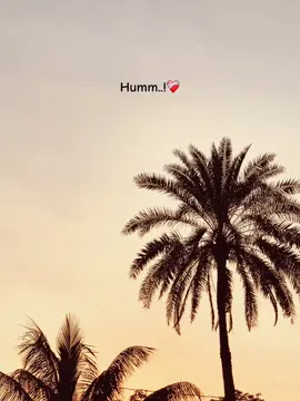 hum..!❤️‍🩹#অসময় #fypシ゚viral #foryoupage #Foryou #Vairal @TikTok Bangladesh @TikTok @For You 