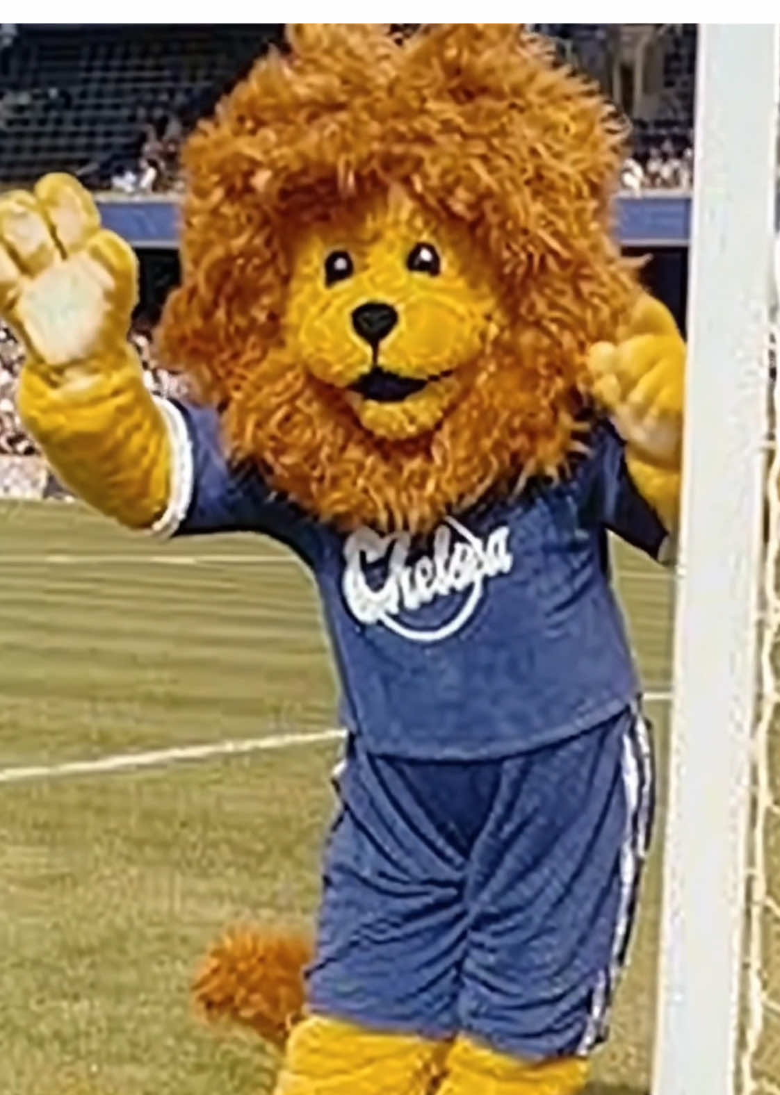 Stamford Bridge, Chelsea #chelseafc #cfc #epl 