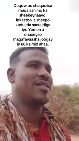 #creatorsearchinsights #truestory 