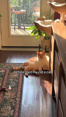 They live each other so much🥲