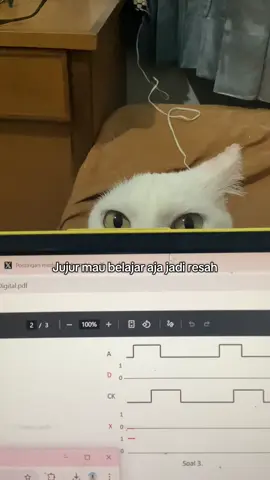 Lagi lagi kucing satu kuping itu #paranormalexperience #paranolmalvideos #paranormalactivity #hantu #seram #fyp 