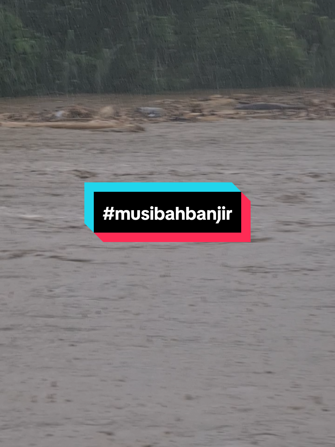 ilegal loging#musibah #banjir @*(MAS BOTEL🧐)* @A.Munandar @Amar Ck 