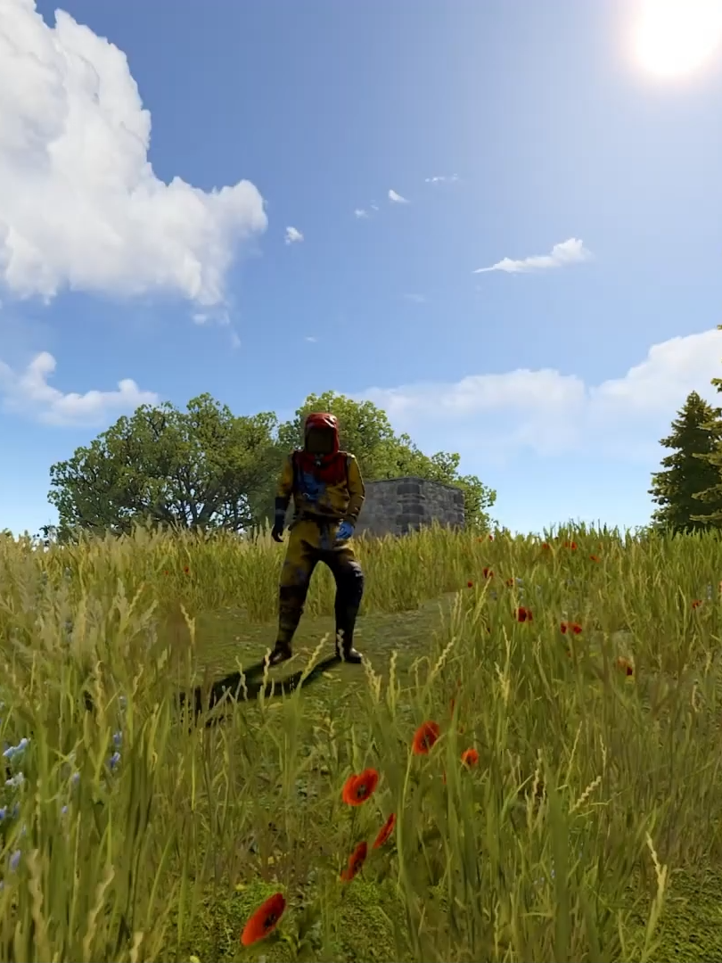 Sans pièces détachées | 50 CHOSES QUE TOUT LE MONDE DEVRAIT SAVOIR SUR LA RUST | Auteur: DE QUEL TYPE? Rust | #rust #game #1