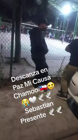 te fuistes Mi Causa Sebastian Vuela Alto compañero 🕊🕊🕊