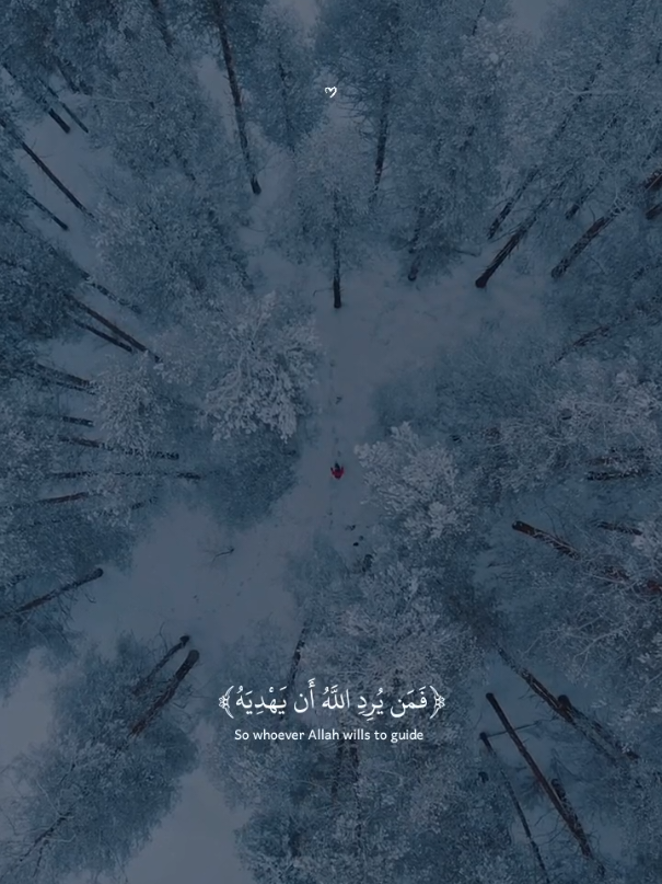 ﴿فَمَن يُرِدِ اللَّهُ أَن يًَهْدِيَهُ﴾تلاوه جميلة بصوت القارئ عبدالله أحمد شعبان 🎧 🍂 #عبدالله_احمد_شعبان  #quran_alkarim #قرآن #quran 