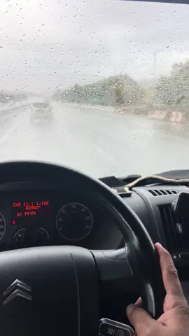 #الجزائر🇩🇿_تونس🇹🇳_المغرب🇲🇦 #الشعب_الصيني_ماله_حل😂😂 