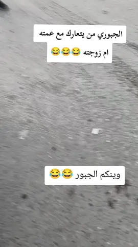 #فرنسا🇨🇵_بلجيكا🇧🇪_المانيا🇩🇪_اسبانيا🇪🇸 #جبور_وعز_الجبور🇮🇶🦅 #سوريا_تركيا_العراق_السعودية_الكويت #العراق #صلاح_الدين 