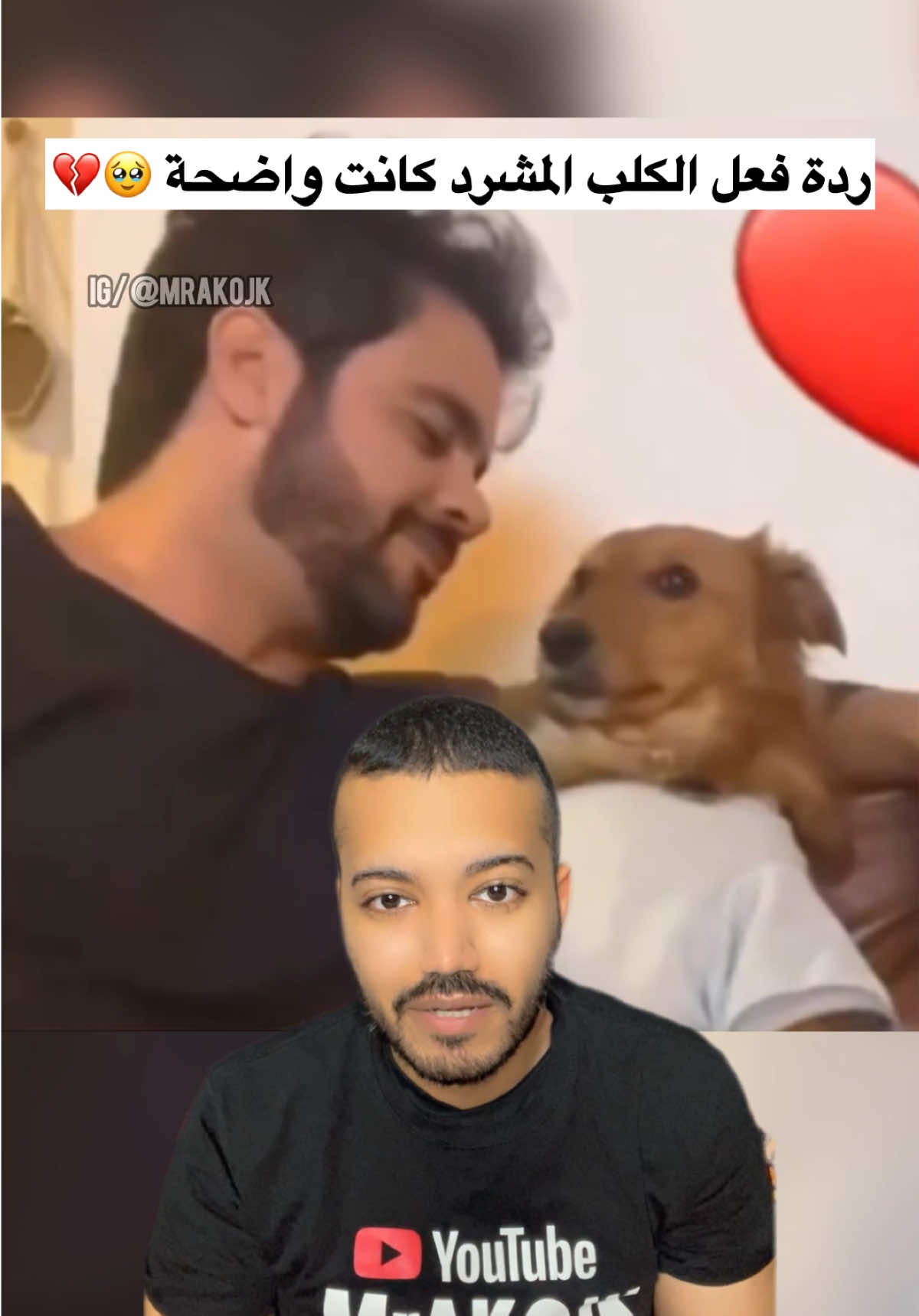 ردة فعل الكلب المشرد كانت واضحة 🥹💔  #الكويت #اكوجك #اكسبلور #ترفيه #معلومات 