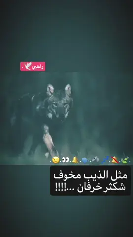 مثل الذيب مخوف شكثر خرفان 😉🍃 #تصميم_فيديوهات🎶🎤🎬 #عباراتكم_الفخمه📿📌 #لايك #fyp #صعدو_الفيديو 