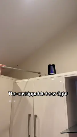 not what you want at 5am on a Sunday #fyp #hornet #boss #xyzabc #funnyy 