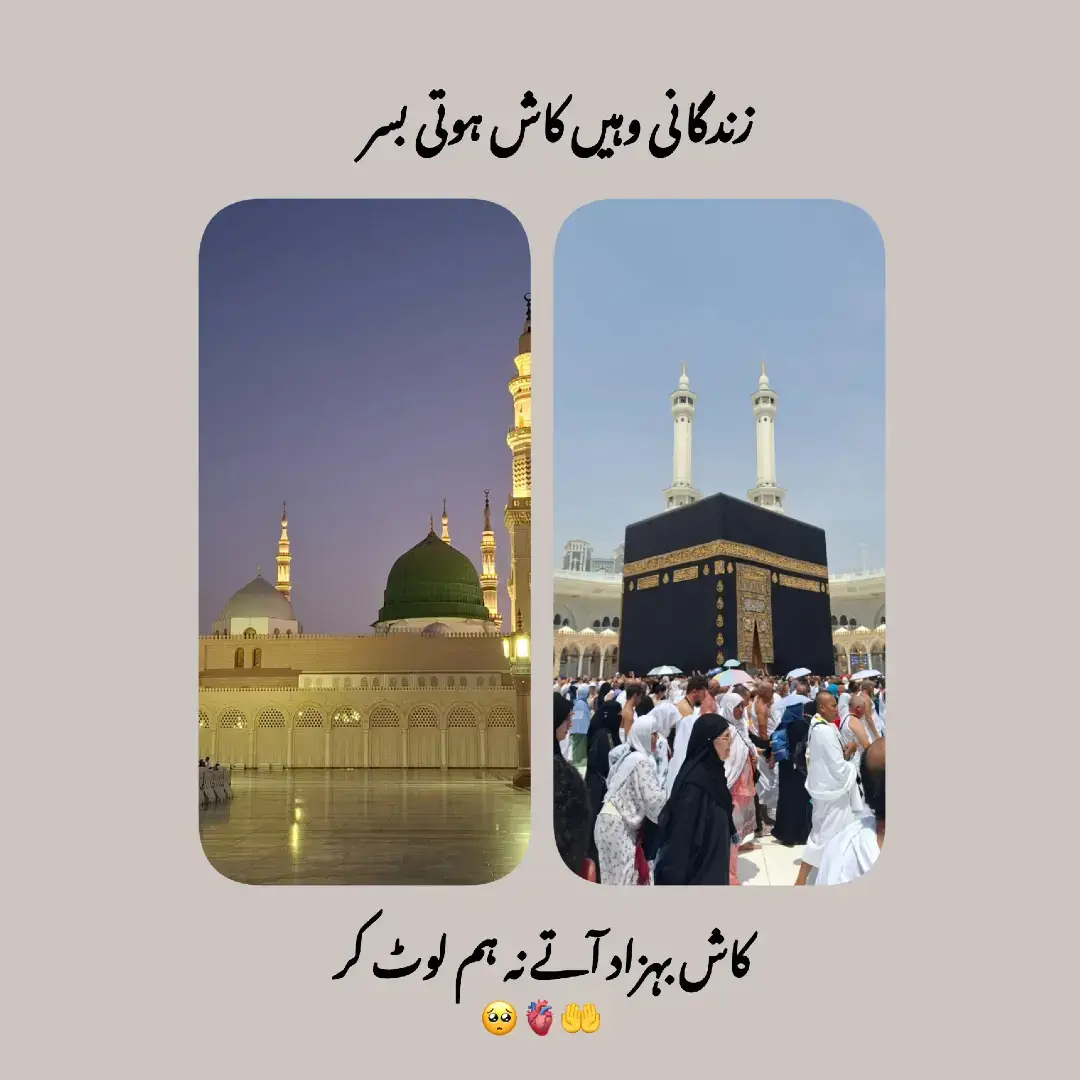 #صلي_علي_النبي_محمد_صلي_الله_عليه_وسلم #المدینہ_المنورہ_مسجد_نبوئ🥰🥰🥰 #مدینہ_منورہ♥️♥️♥️ #اللهم_صل_وسلم_على_نبينا_محمد #medinah 