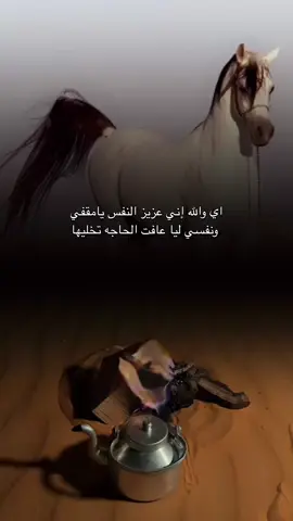 اي والله اني عزيز النفس يامقفي #explore #fyp #الشعب_الصيني_ماله_حل😂😂 #تصميم_فيديوهات🎶🎤🎬 #خيل 