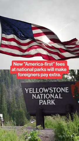 National Parks are introducing “America-first” fees starting Jan. 1, 2026, which will more than triple entrance fees for international visitors at 11 of the most popular U.S. national parks. #nationalparks #yellowstone #americafirst #trump #wildlife #conservation