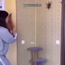 Pov: sustos #pov #fyp #meme #viral #susto 