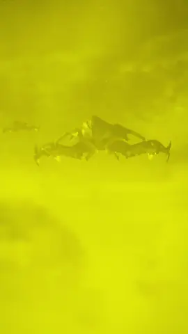 #فيدوهات للتصميم صافيه فخمه #عبارات #اقتباسات_عبارات_خواطر🖤🦋❤️ #تصميم_فيديوهات🎶🎤🎬 #foryoupageofficiall #fypシ゚viralシ‏፯፱፪፰፪፲፪፯፪፱፫፯፫፱፫፯፫፱፫፯፫፱፫፰፱፪፪፯፪፱ ፪፯፱፪፰፪፲፪፯፪፱፫፯፫፱፫፯፫፱፫፯፫፱፫፰፱፪፪፯፪፱