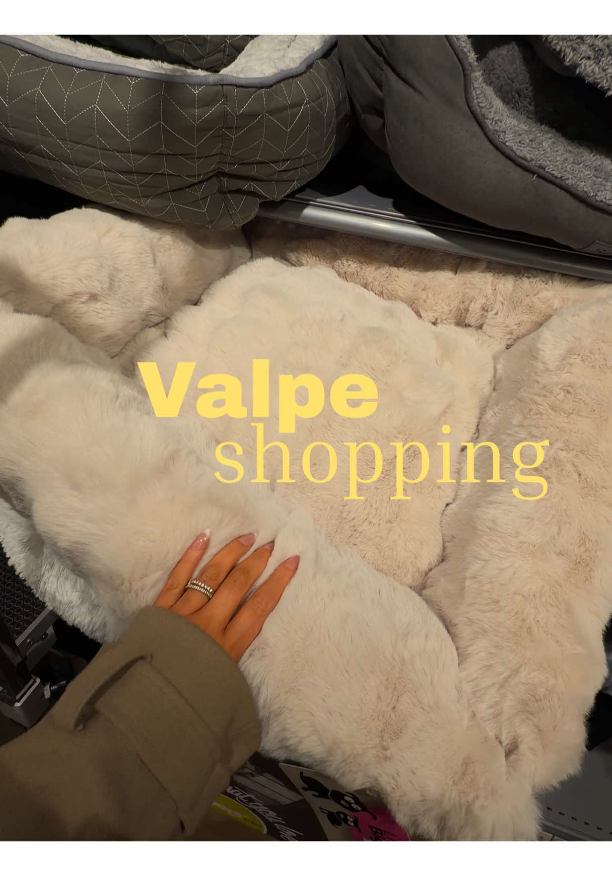 Bli med meg på hunde shopping hos @Musti Norge 🐾 Vi henter en liten maltipoo-valp allerede på fredag, og nå mangler vi bare hundebur og en koselig hundeseng. Bli med og hjelp meg å finne det perfekte til den lille! ✨🐶