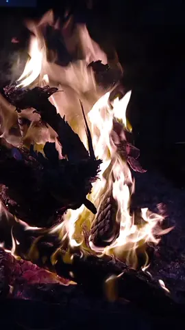 #اكسبلور #تفاعلوا #متابعة #شعراء_وذواقين_الشعر_الشعي🎸💔🥀😔 #الشعب،الصيني،ماله،حل،😂😂 