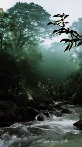 #educatoraward #كلام_من_ذهب👌🏻 #كلام_من_ذهب #كلام_من_القلب #الحمدالله_علی_کل_حال❤ 