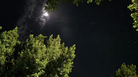 زي الملايكه  🕊🤍 #عمرو_دياب #مايتحكيش_عليها #📷 #اكسبلور #CapCut @Amr Diab 