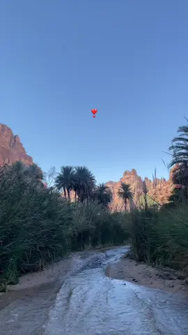 #اكسبلورexplore #الديسه #تبوك #capcut #foryou 