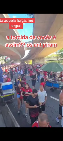 Mengao teatro de rua #mengao  #flamengo #nacaorubronegra #viral #libertadores 