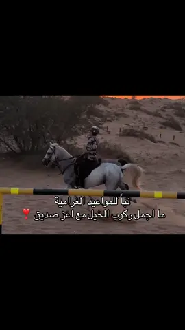 ❣️@F96 #explore #خيل_وخياله🐎 #horse #🐎 #fyp 