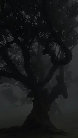 #LIVEIncentiveProgram #LIVEFEST2025 #MakeLIVECount #PaidPartnership 