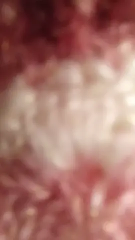 #artisanatfrançais #modeleuniqueetfaitmain ##autoentrepreneuse #viral #crochet 