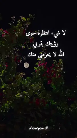 #مساء الحب يا توام روحي #انا ب ح ب ك ا ن ت و ب س #حكم_القدر_💔 