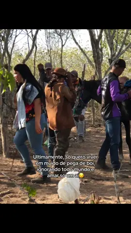 #conteúdo #fypp #viraltiktok #explorar #pegadeboinomato 