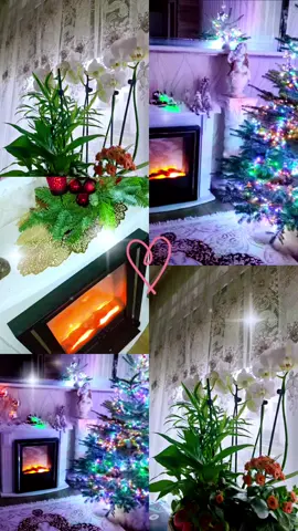 #augsburg #tul #gardinen 