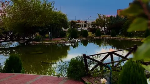 #CapCut #zankoiikoya #foryoupage #mلەو زانکۆیە خۆشتر هەیە؟