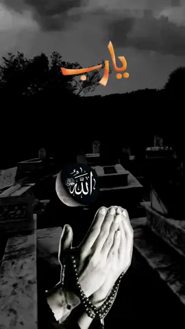 اللهم ارحم امواتنا وارزقهم جنات الفردوس #دعاء #دعاء_يريح_القلوب #لاحول_ولا_قوة_الا_بالله #الشعب_الصيني_ماله_حل😂😂 #fyp @🅜🅞🅗🅐🅝🅐🅓 @A S D @القرآن والسنة @بودكاست قلب مسلم @Quran kareem @🔑رضوى Radwa🪬 @Hayat rifiya @الله غالب☝️الغزاوي🇵🇸 @حـ⃪⃪⃪يـ⃪⃪دࢪ||𝐇𝐚𝐢𝐝𝐞𝐫↻ @هيثم المشعري @اسير الشوق🎙️ @👑MOHAMMED👑 @أبو عبدالله 