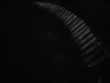 هَذا ياحب جايني تحجي عليه #حبيب_علي #fyppppppppppppppppppppppp #اغاني #اغنية #اغاني_مسرعه💥 