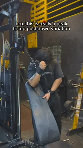 yeah this is peak bro i really felt my triceps more cause of the bench 😭🔥 ty bro @noda.lifts  #tricepworkout #gym #fyp #creatorsearchinsights 