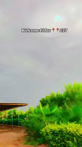 Habibi welcome to Eldas #📍📍