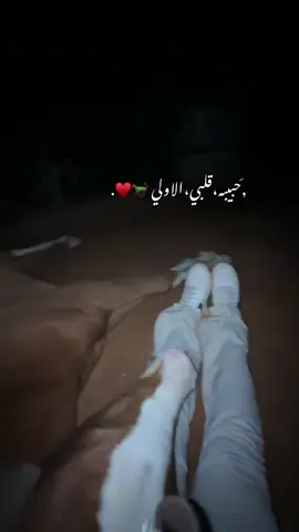 #خيل_وخياله🐎 