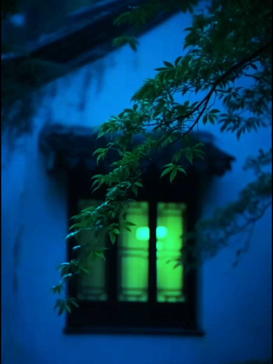 Haaka iyo jiife🥹❤️ #somalilyrics🌺😕💎 #foryoupage #slowsong #fyyyyyyyyyyyyyyyy #fyl 