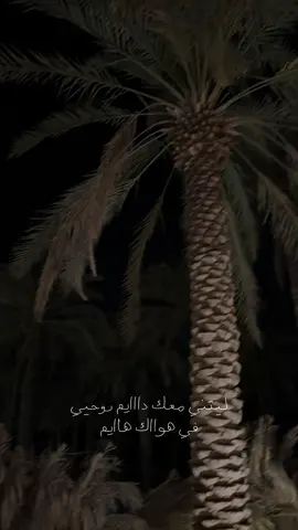 وأخفيك مع روحيي #محمد_عبده #riyadh #fyp 