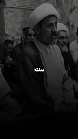 ضيمم هاذا الشيخ...... #شعر #شعراء #ابوذيات  #شعراء_وذواقين_الشعر_الشعبي  #fypシ 