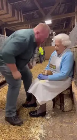 POV: A royal starts day one at the guinea pig milk factory, hits the wrong lever, and turns a week of premium into a royal slip n slide. Manager goes berserk with full WWE vibes, barn goes cinematic, android quality chaos, royal spin unlocked. Witness the royal ragdoll: https://sub.dnpl.us/SAA This is a parody skit. No queens or guinea pigs were harmed. #RoyalFail #WorkplaceChaos #GuineaPigFarm #RoyalRage #WorkFails #FarmLife #RoyalYeet #ManagerMeltdown #CrownChaos #Parody #Skit #Comedy #ViralMoment #BarnMayhem #RageQuit #GuineaPigMilk #BarnChaos