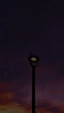 ‏#دويتو مع @𝓐 𝓡 𝓐 𝓜 #سورة_البقرة #ماشالله لاو ساوته خوشه 