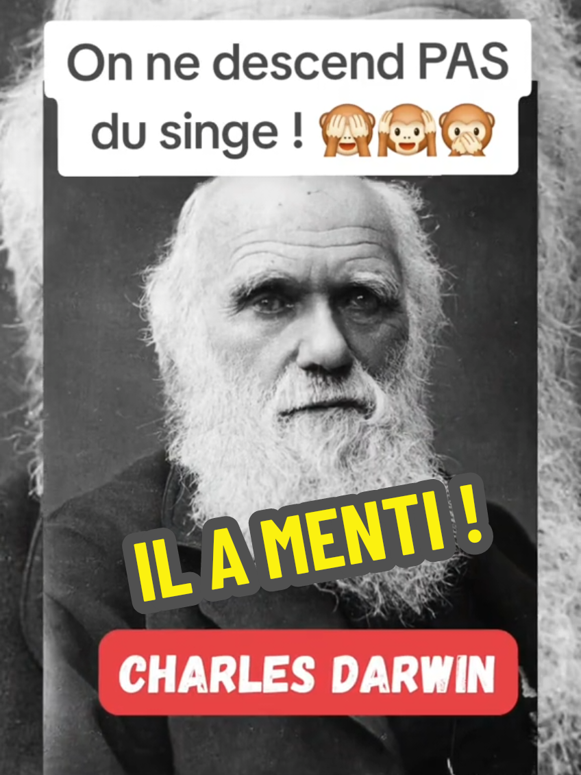 On ne descends pas du singe ! #jemenfousjevaisledire 