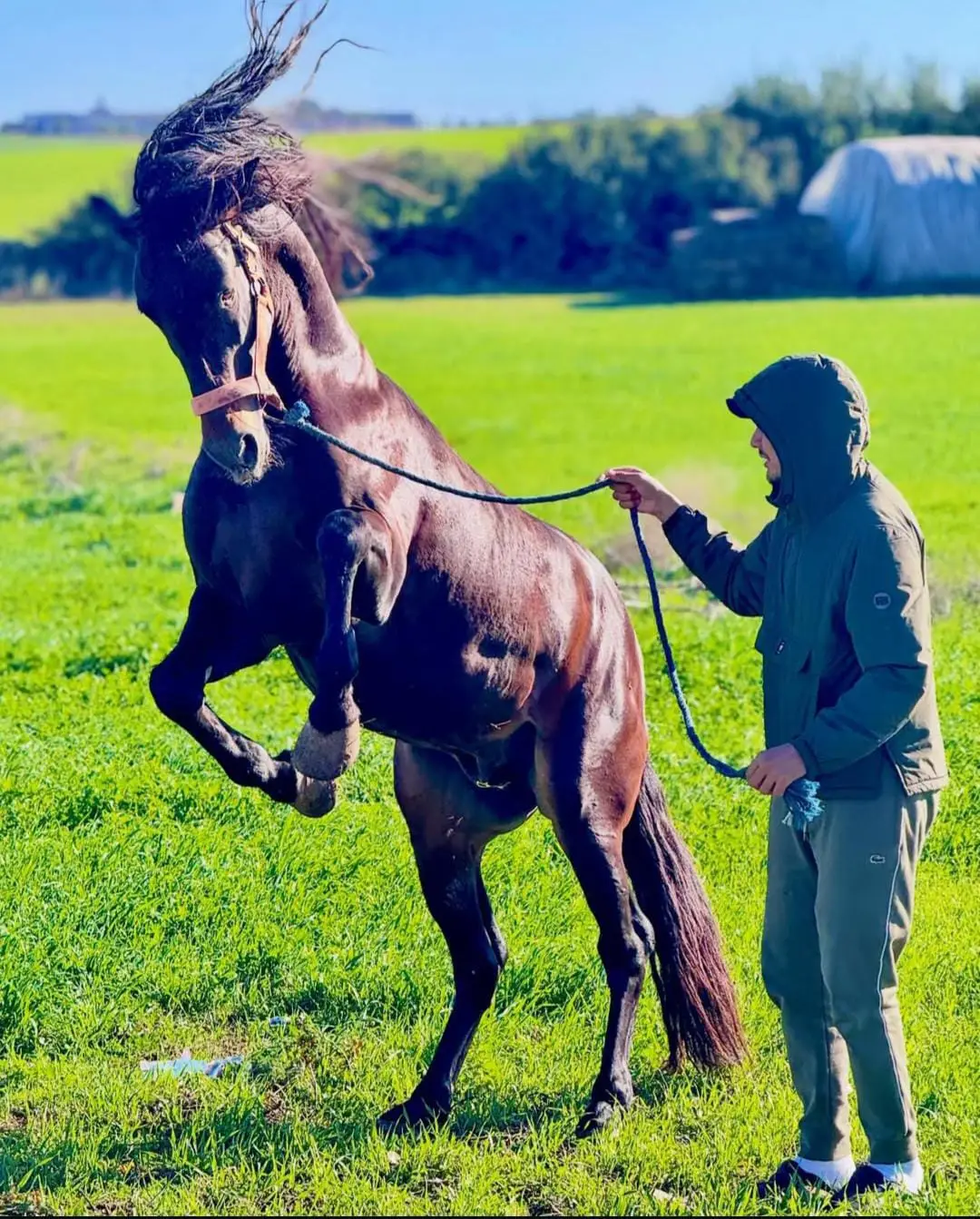 #ماشاءالله_تبارك_الله 