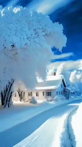 #onthisday #فوریو #سلامی #ویڈیو #ویرل 