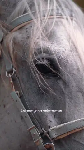 #kes #kesfetteyiz #kew #kewfett #kesfetbeniöneçıkart 