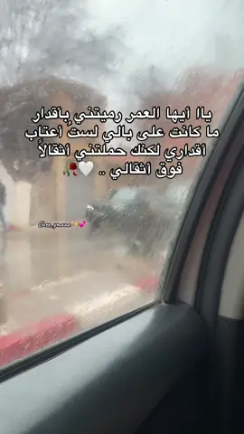 #fyp #djelfa_17_aljeria🇩🇿 #algeria #بوسعادة_المسيلة__الجلفة_الاغواط_58_ولاية #hadshari 