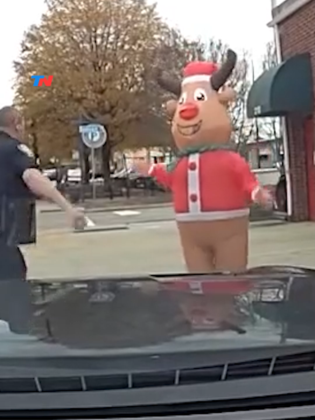 Un policía “tacleó” a Rudolph por adelantar la Navidad en Estados Unidos La policía de Carolina del Norte publicó un insólito video: un oficial corre, se baja del patrullero y “taclea” a una persona disfrazada de Rudolph, el reno de nariz roja. Todo fue una broma del departamento para reírse de la eterna discusión de si la Navidad se adelanta demasiado. En su comunicado, dijeron que el oficial habría actuado “ante la aparición de contenido navideño antes de que el pavo del Día de Acción de Gracias se enfriara”.