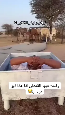 قروب أبو حصه#قروب_ابو_حصه #ابوحصه#ابوحصه_ابوعجيب#تيك_توك#ترند 