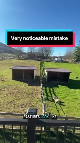 It’s hard to hide this mistake😂🐐 #minifarm 